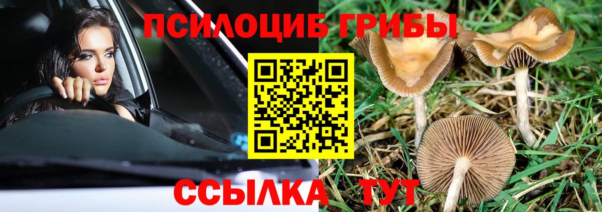 Валуйки  Псилоцибиновые грибы Cubensis  Вход с VPN  что такое наркотик  Псилоцибиновые грибы MAGIC MUSHROOMS 