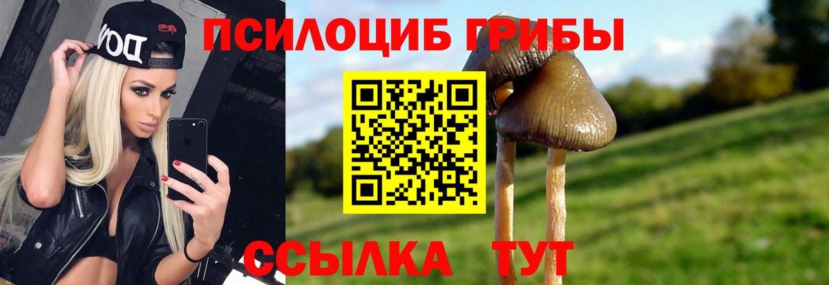 Псилоцибиновые грибы мицелий Валуйки
